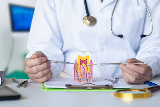 Best Urgent Care for Lost Fillings or Crowns in Kirkland, WA